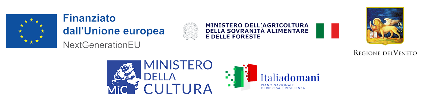 Finanziato dall'Unione europea